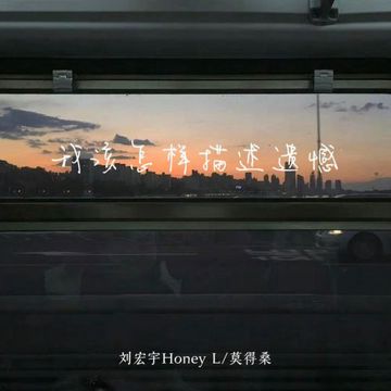 我该怎么描述遗憾-cover