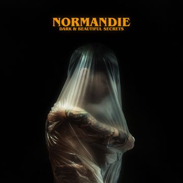 Hostage-cover