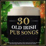 My Wild Irish Rose-cover