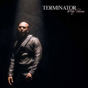 Terminator-cover