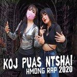 Bye bye Tsis hlub tus neeg laim cais-cover