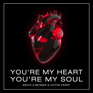 You're My Heart, You're My Soul-cover