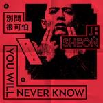 ĺŤéŽĺžĺŻć(ä¸äşşĺĺąç)-cover