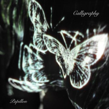 Quien no lloro por amor