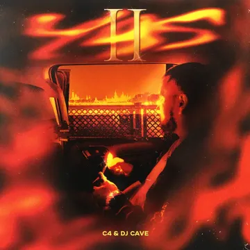 DENGI-cover