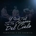 Y Que Tal Si Te Escapas Del Cielo-cover