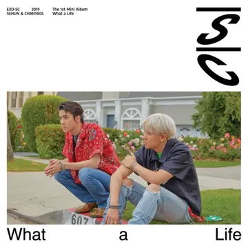What a life-cover
