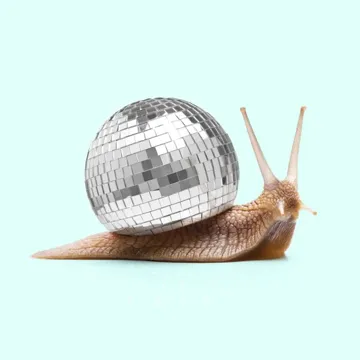 Disco Snails-cover