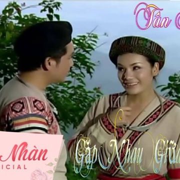Gặp Nhau Trong Rừng Mơ