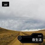带我去找夜生活-cover