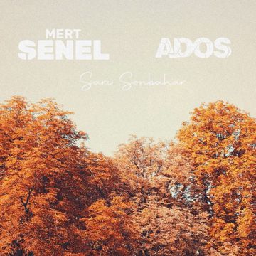 Sarı Sonbahar-cover