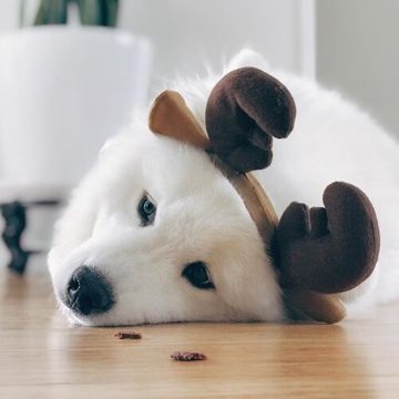 Anh Làm Người Yêu Em Nhé