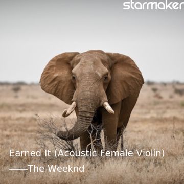 Earned It (Acoustic Female Violin)-cover