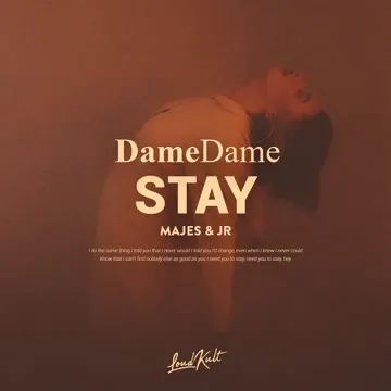 Stay-cover