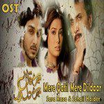 OST Mere Qatil Mere Dildaar