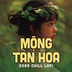 Mộng tàn hoa (2000 chill lofi)-cover