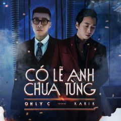 Có Lẽ Anh Chưa Từng-cover