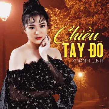Đường Trần Lá Đổ-cover