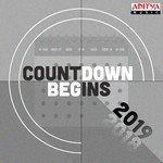 Beautiful Love(From "Naa Peru Surya Naa Illu India")-cover