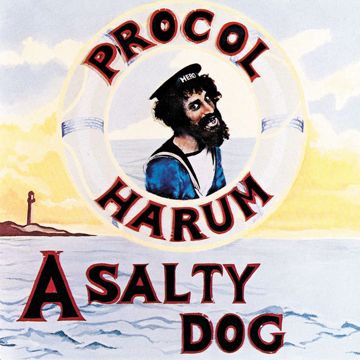 A Salty Dog-cover