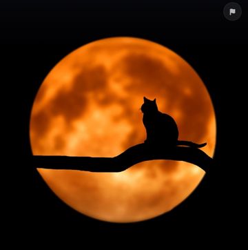 Gece ile baş başa-cover