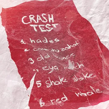 Shake Shake-cover