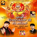 Swagpur Ka Chaudhary-cover