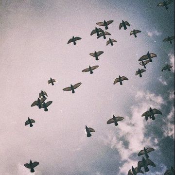 Libertad-cover