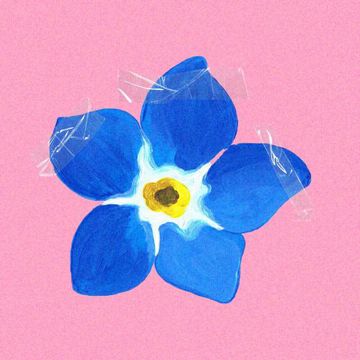 花束般的恋爱-cover