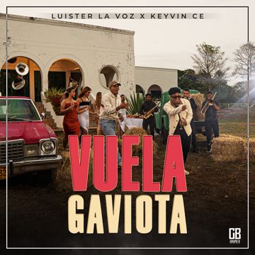 Vuela Gaviota-cover