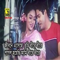 জীবনে এসেছো তুমি ধীরে Jibone Esecho Tumi-cover