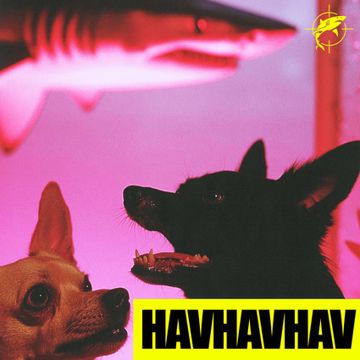 HAVHAVHAV-cover