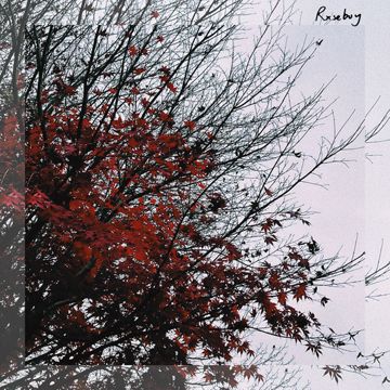 Leaving-cover