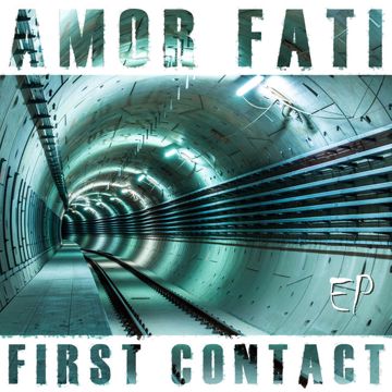 AMOR FATI-cover