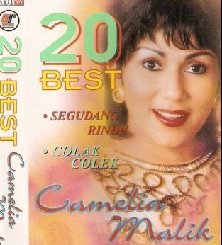 Colak Colek (Remix)-cover
