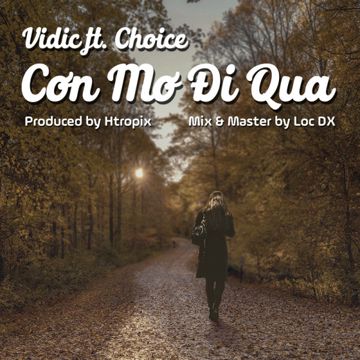 Cơn Mơ Đi Qua-cover