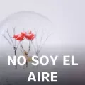 No Soy El Aire