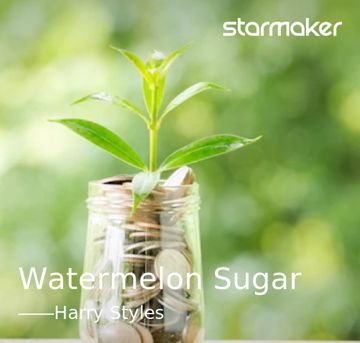 Watermelon Sugar-cover