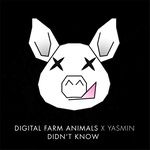 Didn't Know-cover