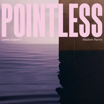 Pointless (Madism Remix)-cover