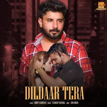 Dildaar Tera-cover