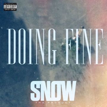 Doing Fine-cover
