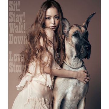 Love Story -cover