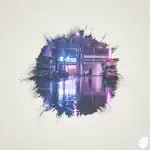 Never Say Never-cover