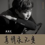 真情永不变(国语版)
