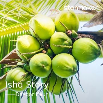 Ishq Story-cover