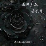 若那朵花还会开(1.2X)-cover