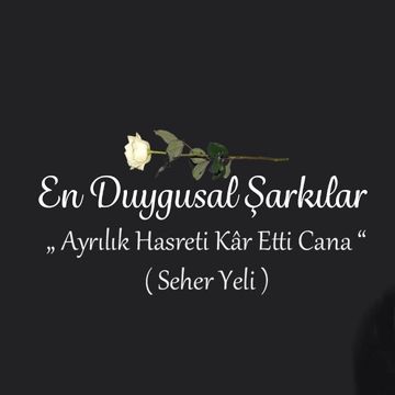 Ayrılık Hasreti-cover
