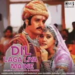 Dil Laga Liya Maine (Lofi Mix)-cover