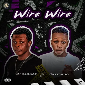 Wire wire-cover
